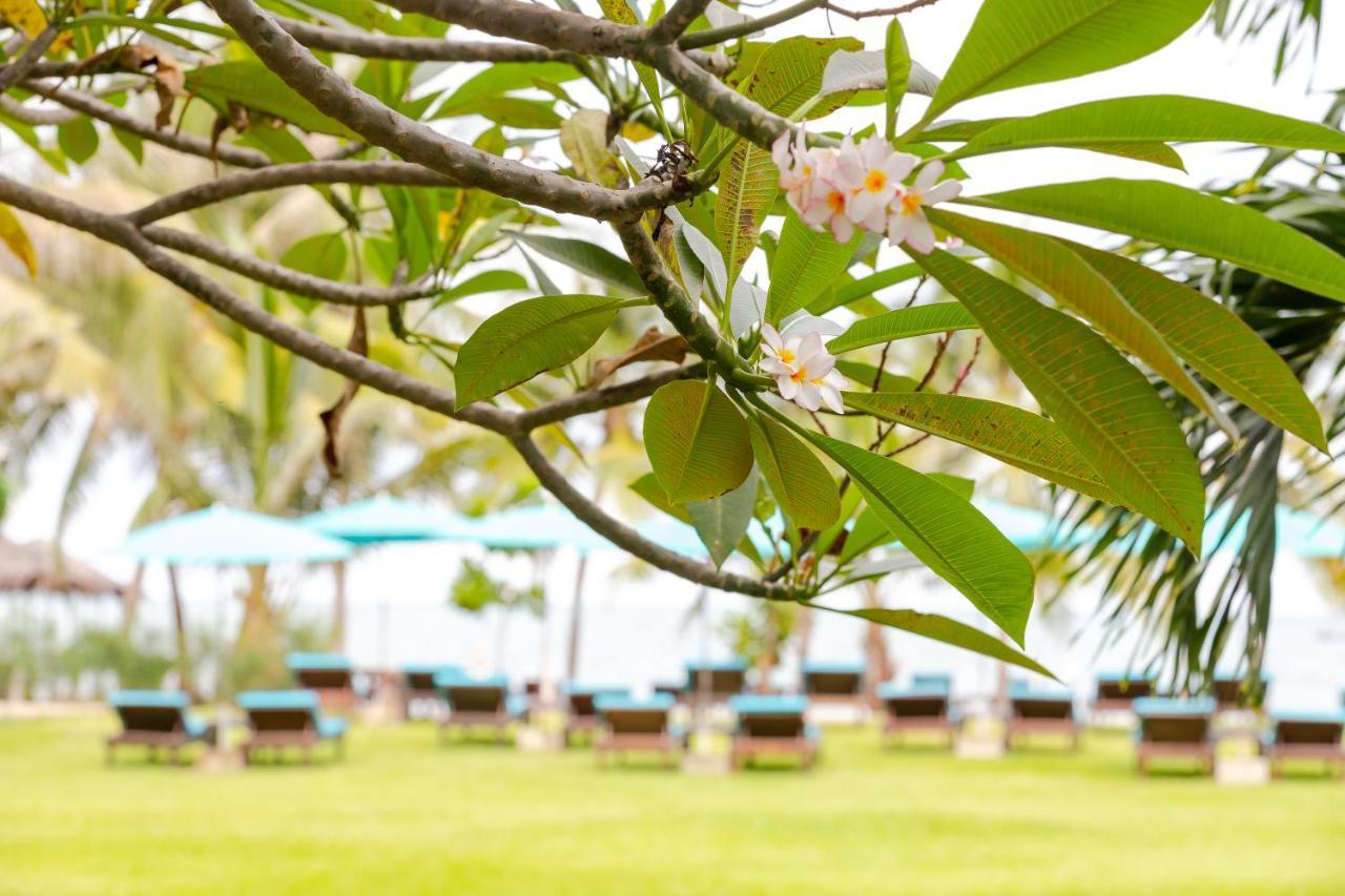 Pinnacle Grand Jomtien Resort&Beach Club - SHA Extra Plus Na Chom Thian Exterior foto